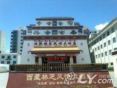 林芝风情大酒店