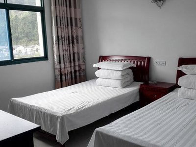 武汉清凉寨山林人家客栈(豪华套房)