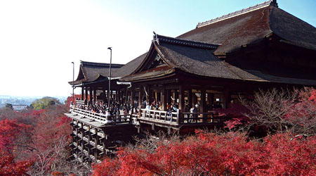 古都精华景点 世界文化遗产特别体验——东大寺,春日大社,清水寺